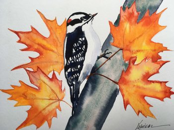 Wather color painting:  golden orange maple leaves with downey woodpecker