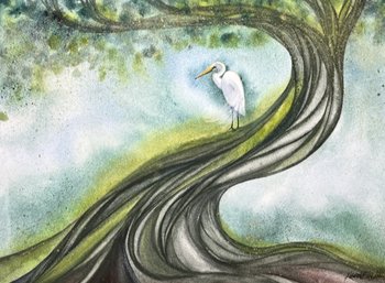 watercolor painting of egret in large twisty tree