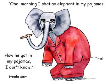 Elephant in my pajamas card