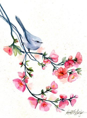 watercolor painting of small grey songbird perched of branch of pink blossoms