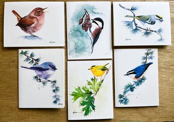 image of 6 note cards each with a different song bird