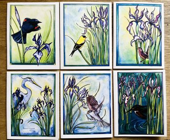 Assorted Wild Iris and Bird Six NoteCard Gift Set