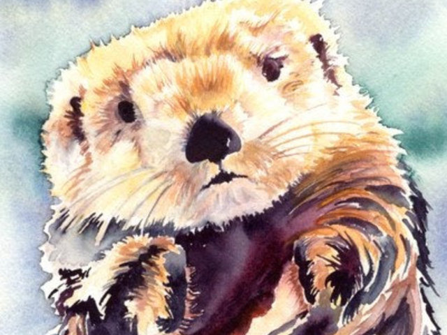 Sea Otter - detail