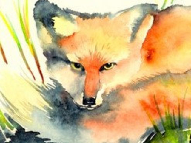 Red Fox Watercolor detail