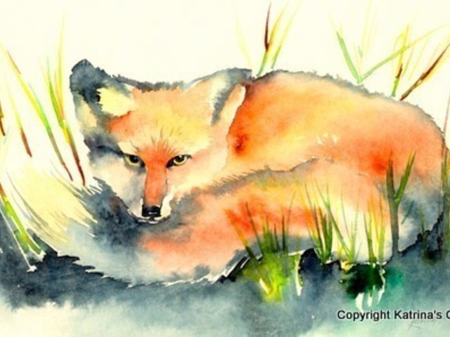 Red Fox Note Card Gift Set