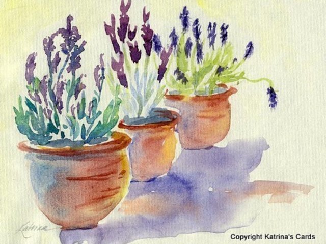 Lavender in Terracotta Notecard Gift Set