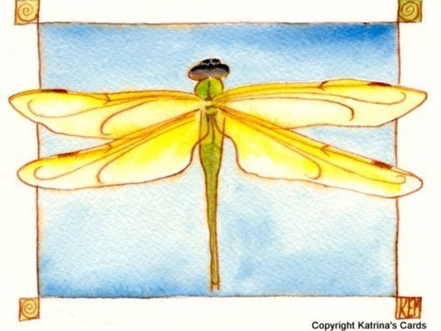 Dragonfly Notecard Gift Set