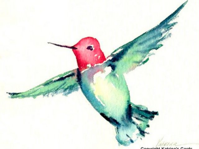 Anna's Hummingbird Notecard Gift Package 5 Cards and Envelopes