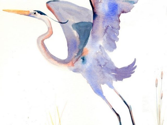 Note Card Great Blue Heron II 5 Cards and Envelopes Gift Set