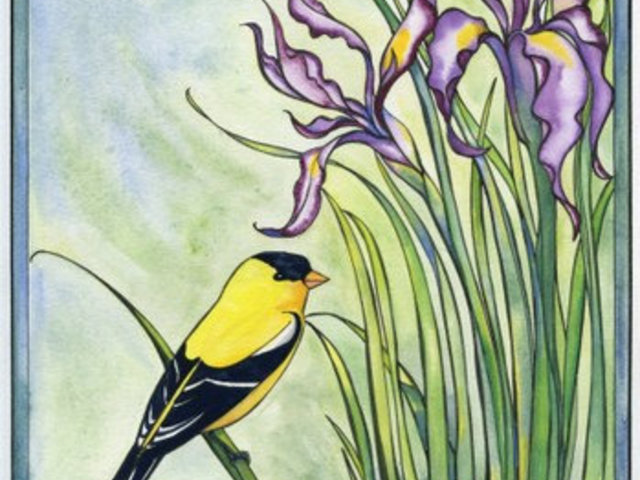 Wild Iris and Goldfinch NoteCard Gift Package