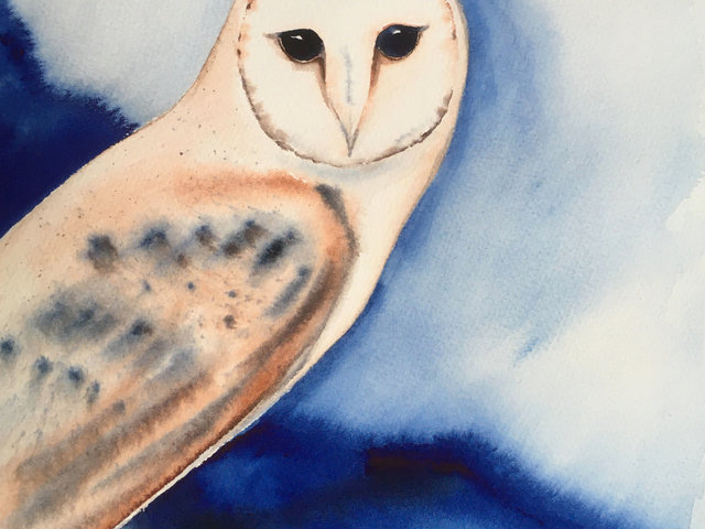 watercolor of perched Barn Owl with deep blue mountains in background