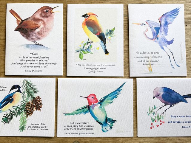 6 assorted bird quote notecards