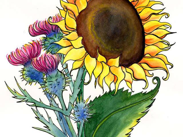 Watercolor and pen art of Sunflower and thistles with cricket