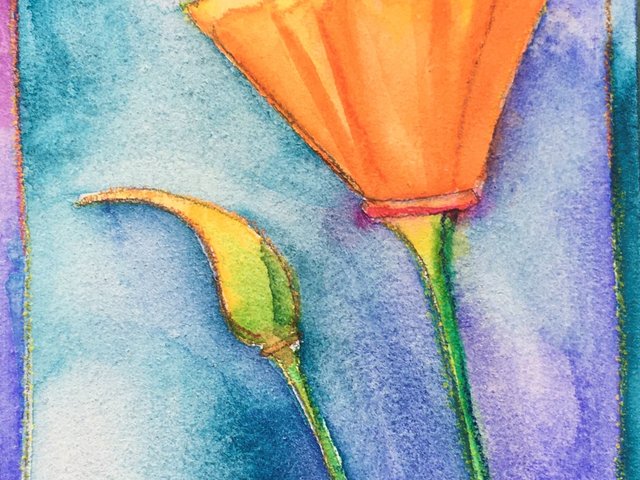 watercolor of california poppy and bud with colorful teal and purple background