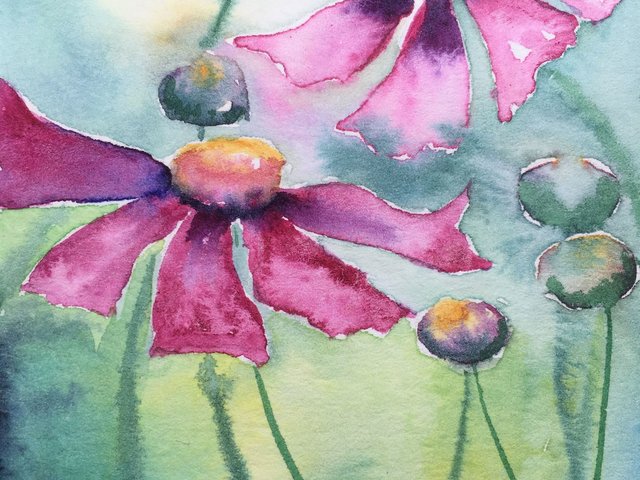 watercolor of pink Cosmos flowers and bud in greenblue