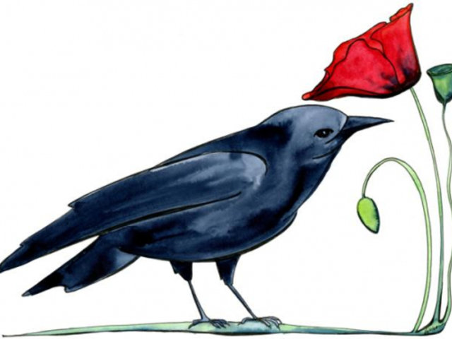 Crow and Poppy Watercolor