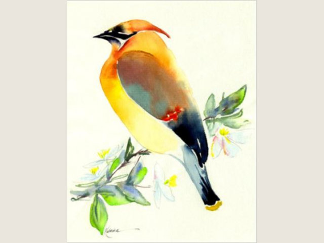 watercolor of yellow songbird on apple blossom branch