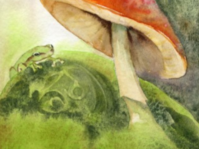 watercolor painting of red capped mushroom and frog on mossy rock