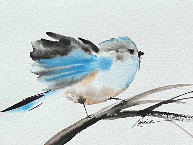 watercolor painting of small songbird in washy blues and blacks