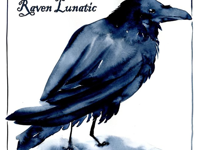 Raven Lunatic Note Card Gift Set