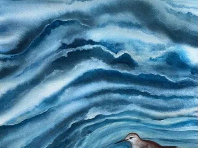 watercolor painting of sea bird on sand in front of layers of ocean waves