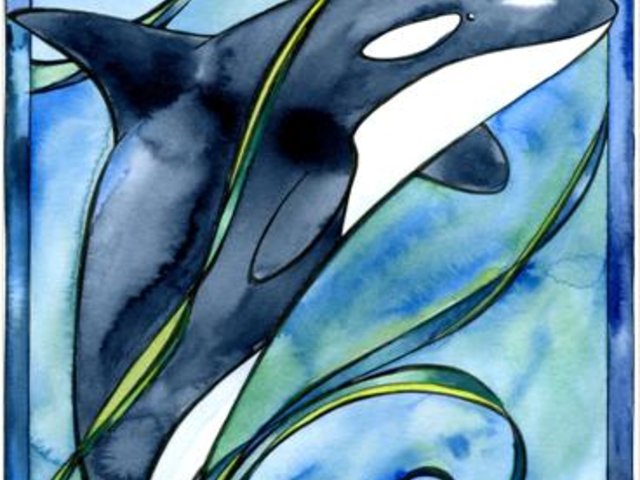Orca watercolor notecard