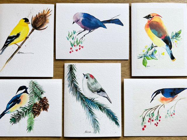 6 assorted Songbird Note cards