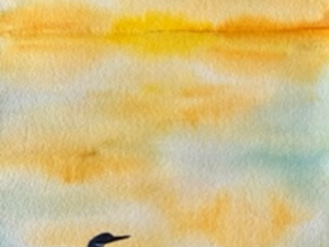 watercolor painting of 2 loons on water with golden light