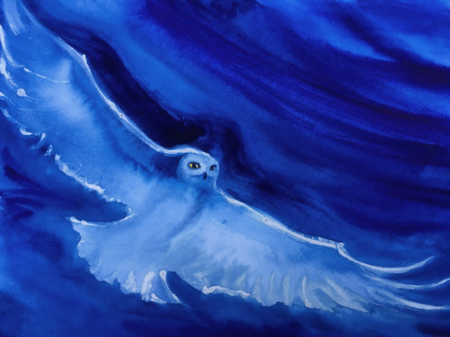 watercolor of Snowy owl with  out stretched wings deep blue stormy background