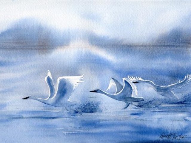 Blue watercolor landscape with 3 backlit swans taking flight