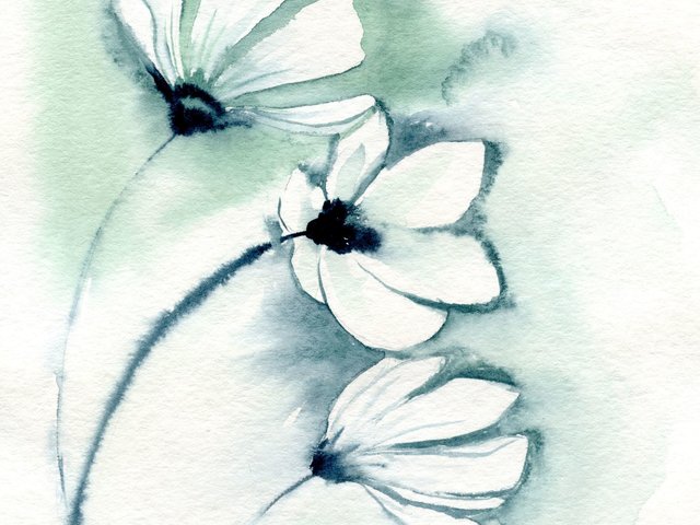 watercolor painting of white blossoms on thin stems with green/blue wash behind