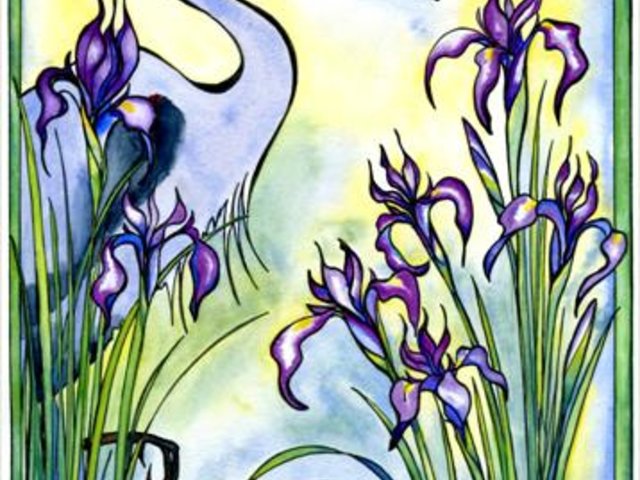 Wild Iris and Great Blue  Heron NoteCard Gift Set