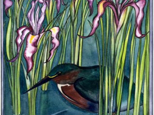 Wild Iris and Green Heron NoteCard Gift Set