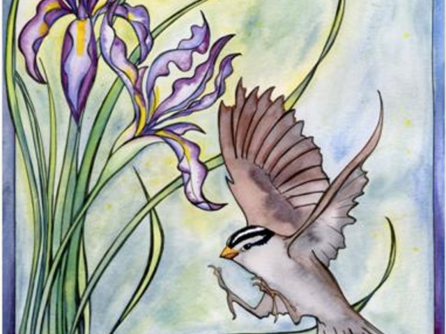 Wild Iris and Sparrow NoteCard Gift Set