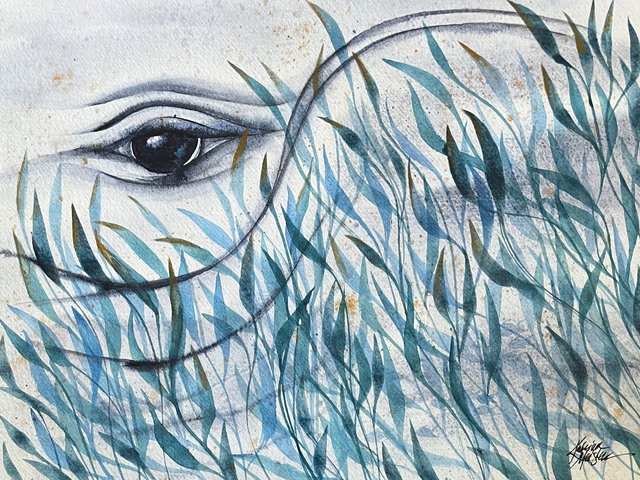 Watercolor painting of whale eye and sea grass