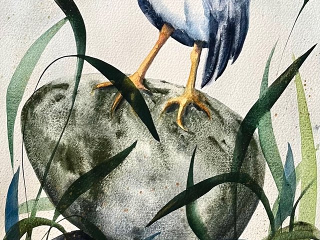 "Black Crowned Night Heron Cairn" an Original Watercolor Painting