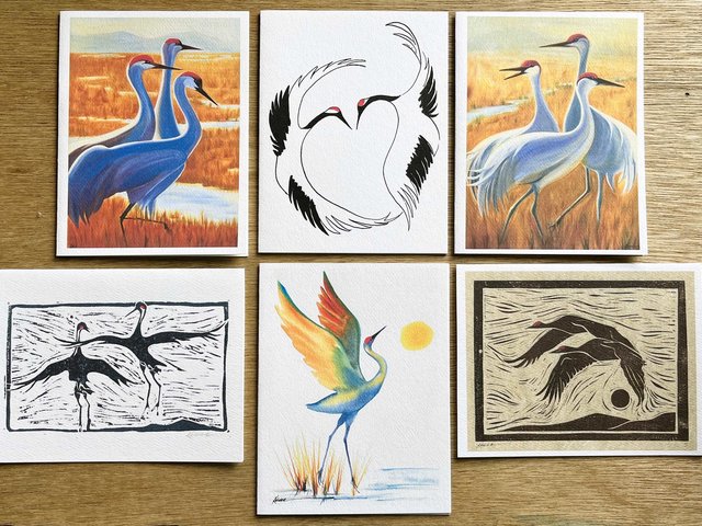 Assorted Cranes Six Note Card Gift Set