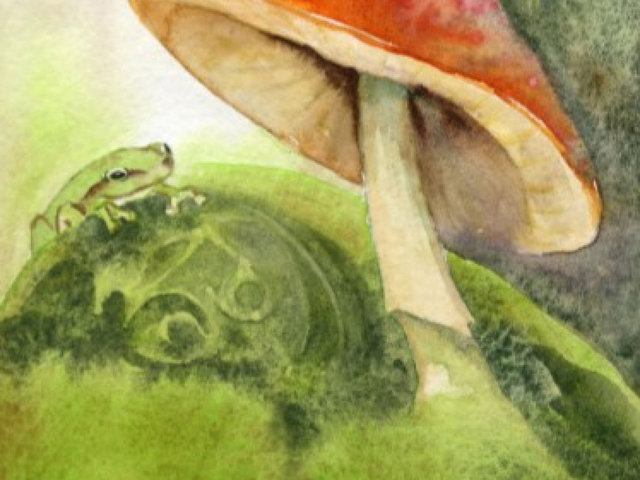 "Celtic Moss Frog" Fine Art Reproduction print